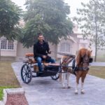 Vivek Dahiya Instagram – Two ponies bonding in the cold. Fancy a ride? Chandigarh चंडीगढ़