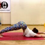 Zareen Khan Instagram - #Repost @anshukayoga ・・・ Beautiful shapeshifter @zareenkhan 😍 practising the #Uttanashishosana 🐶 #puppypose with ease. This one is such a yummy stretch and Z held it for so long. Lifting the knees off the floor just came to her naturally. It’s amazing what the body can do when you are so centered and focused, too proud ❤️🙏 . . #zareenkhan #bollywoodyoga #bollywood #bollywoodfitness #yogi #yogainspiration #yoga #yogagram #igyoga #igyogafam #instayoga #yogisofinstagram #yogapractice #yogaeverydamnday #yogadaily #practiceandalliscoming #igfitness #strength #flexibility #yogajourney #yogajournal #yogalover #yogspiration #iloveyoga #myyogalife #yogapose #yogaeverydamnday #anshukayoga