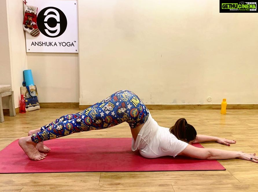 Zareen Khan - 296.4K Likes - #Repost @anshukayoga
・・・
Beautiful shapeshifter @zareenkhan 😍 practising the #Uttanashishosana 🐶 #puppypose with ease. This one is such a yummy stretch and Z held it for so long. Lifting the knees off the floor just came to her naturally. It’s amazing what the body can do when you are so centered and focused, too proud ❤️🙏 .
.
#zareenkhan #bollywoodyoga #bollywood #bollywoodfitness #yogi #yogainspiration #yoga #yogagram #igyoga #igyogafam #instayoga #yogisofinstagram #yogapractice #yogaeverydamnday #yogadaily #practiceandalliscoming #igfitness #strength #flexibility #yogajourney #yogajournal #yogalover #yogspiration #iloveyoga #myyogalife #yogapose #yogaeverydamnday #anshukayoga