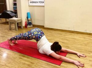 Zareen Khan Instagram - #Repost @anshukayoga
・・・
Beautiful shapeshifter @zareenkhan 😍 practising the #Uttanashishosana 🐶 #puppypose with ease. This one is such a yummy stretch and Z held it for so long. Lifting the knees off the floor just came to her naturally. It’s amazing what the body can do when you are so centered and focused, too proud ❤️🙏 .
.
#zareenkhan #bollywoodyoga #bollywood #bollywoodfitness #yogi #yogainspiration #yoga #yogagram #igyoga #igyogafam #instayoga #yogisofinstagram #yogapractice #yogaeverydamnday #yogadaily #practiceandalliscoming #igfitness #strength #flexibility #yogajourney #yogajournal #yogalover #yogspiration #iloveyoga #myyogalife #yogapose #yogaeverydamnday #anshukayoga