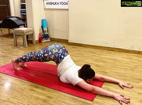 Zareen Khan - 296.4K Likes - #Repost @anshukayoga
・・・
Beautiful shapeshifter @zareenkhan 😍 practising the #Uttanashishosana 🐶 #puppypose with ease. This one is such a yummy stretch and Z held it for so long. Lifting the knees off the floor just came to her naturally. It’s amazing what the body can do when you are so centered and focused, too proud ❤️🙏 .
.
#zareenkhan #bollywoodyoga #bollywood #bollywoodfitness #yogi #yogainspiration #yoga #yogagram #igyoga #igyogafam #instayoga #yogisofinstagram #yogapractice #yogaeverydamnday #yogadaily #practiceandalliscoming #igfitness #strength #flexibility #yogajourney #yogajournal #yogalover #yogspiration #iloveyoga #myyogalife #yogapose #yogaeverydamnday #anshukayoga