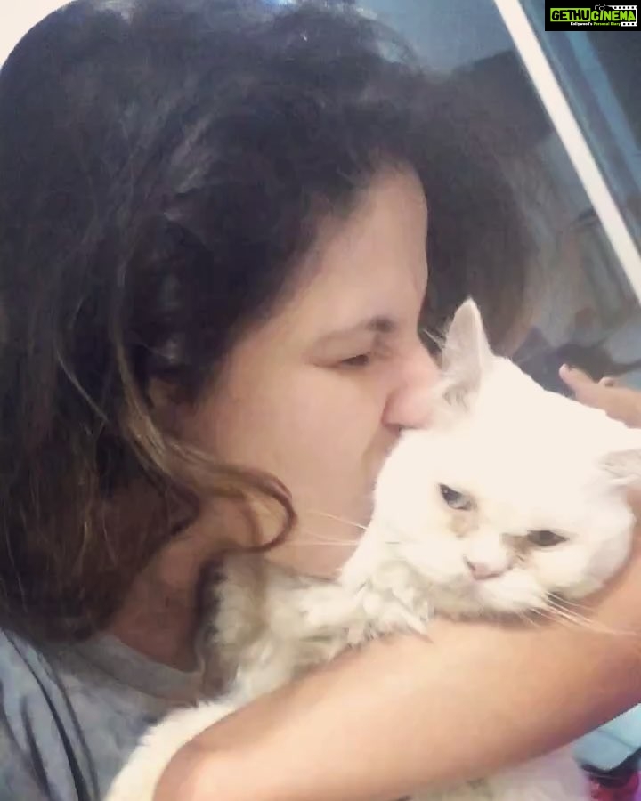 Zareen Khan Instagram - Mr. Scooby Khan clearly not liking it but I’m jus lovinggggg it ♥️ #HappySunday #HappyHeart #CatLover #MyMunchkin #ScoobyKhan #ZareenKhan
