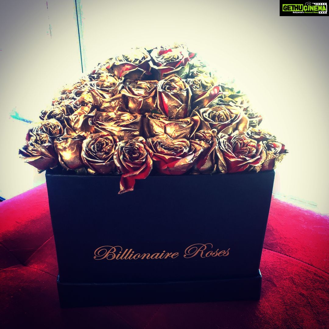 Zareen Khan Instagram - Thank u @billionaire_roses for these beautiful roses ... This simply made my day ♥️ #UnexpectedGiftsLikeThese #FlowerPower #Gold #Red #Roses