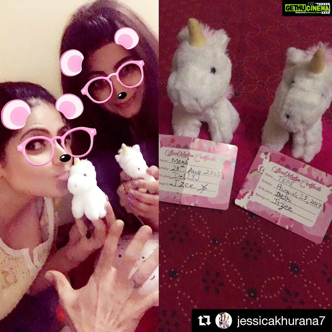 Zareen Khan Instagram - Our new pets ... And v named them MERI & TERI π¦β¨ Thank u my darling @jessicakhurana7 β£οΈ (P.S. @bodyholics Trying to grab MERI & TERI π
) #UnicornTwinning #MeriMissingTeri #SorryNotSorry π€£