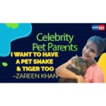Zareen Khan Instagram - Meet Zareen Khan And Her Six Cats | Celebrity Pet Parents Actress Zareen Khan whose song with Umar Riaz, Eid Ho Jayegi has just been released, introduces mid-day.com to her six pet cat babies. The actress who is an animal lover says if she had more space, she would like to adopt an entire animal kingdom. #MiddayEntertainment #PetParents #Bollywood #BollywoodActress #CelebrityNews #IndianCelebrity