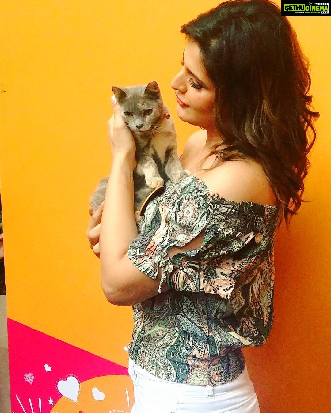 Zareen Khan Instagram - Sierra ❤️ #MyFurretine #FurrentinesDay #UnconditionalLove @romedynow @catcafestudio