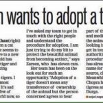 Zareen Khan Instagram - Doing my bit to save Tigers from going extinct. Aren't they just so beautiful? Cannot wait to adopt one!! Comment below and suggest some names. If I like your suggestion, I'll name the Tiger that. #AdoptATiger #SaveTigers Read more: