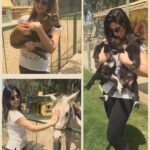 Zareen Khan Instagram - Made some new friends today ❤️ #Antalya #TravelDiaries #WanderlustSoul #TravelWithZareen