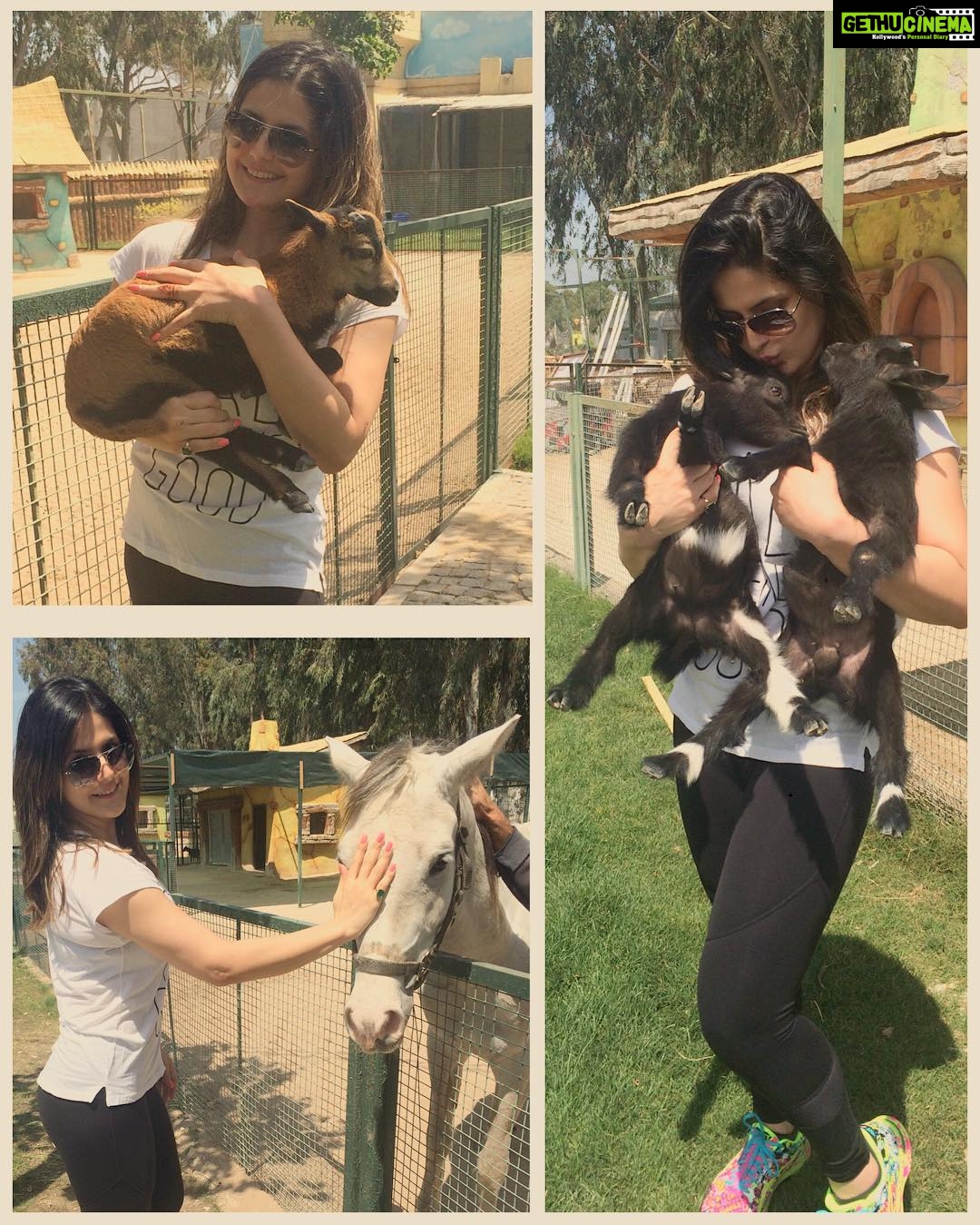 Zareen Khan Instagram - Made some new friends today ❤️ #Antalya #TravelDiaries #WanderlustSoul #TravelWithZareen