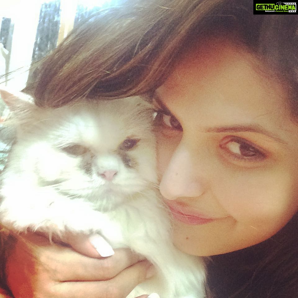 Zareen Khan Instagram - Missing Mr. Scooby Khan ! ❤️