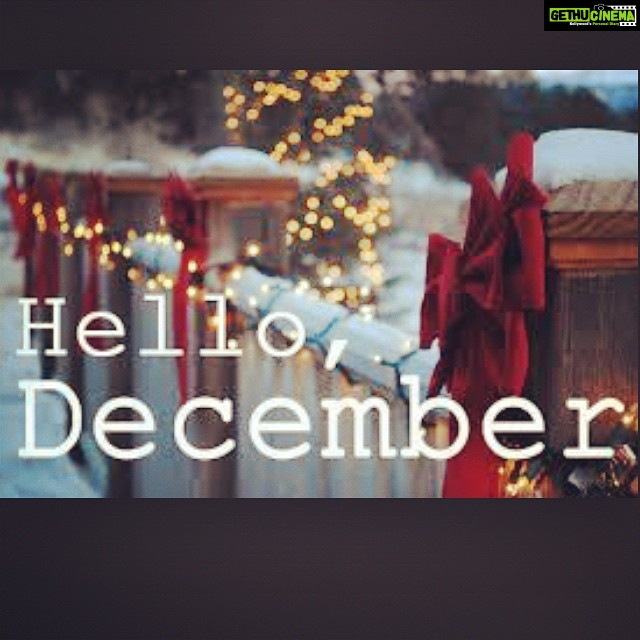 Zareen Khan Instagram - Happy #December to all !! ❤️💫🎄🎅🎊🎉🎁 #Fav #Month
