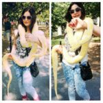 Zareen Khan Instagram - Isn't that a beauty ?!! ♥ #love #snakes #TravelWithZareen