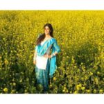 Zareen Khan Instagram – #sarsoKeKhet #punjab #TravelWithZareen