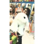 Zareen Khan Instagram -