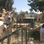 Zareen Khan Instagram – I like befriending animals over humans ❤️
P.S. – This wasn’t suppose to be funny 🙈😜
#TbT #Throwback #Antalya #Turkey #TravelDiaries #HappyHippie #ZareenKhan Mardan Palace