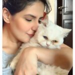 Zareen Khan Instagram - Everyday is 🐈 Day ❤️ #HappyInternationalCatDay #CatFamily #CatWoman #ZareenKhan