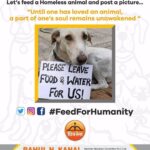 Zareen Khan Instagram - #Repost @rahulnarainkanal ・・・ Dear animal lovers Because of this lockdown,the animals on the streets are hungry and thirsty. According to gov regulations, you are allowed to step out for groceries so while you do that and maintain social distancing, pls feed some homeless animals on the way back home.( milk,rice,eggs,chapatis,bread & butter,pao,meat left overs, dog&cat food & WATER ) EVEN THE ANIMALS OF OUR COUNTRY WILL NOT SLEEP HUNGRY. OUR EARTH NEEDS COMPASSION & CARE. LETS DO BETTER , LETS BE BETTER. Please follow the curfew responsibly.