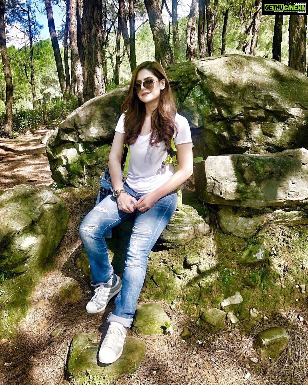 Zareen Khan Instagram - ‘Don’t live the same year 75 times and call it life’ - Robin Sharma 📸 - @pallavidevika #Dharamshala #HimachalPradesh #IncredibleIndia #TravelWithZareen #HappyHippie #WanderLust #KeepWandering #WednesdayWisdom #ZareenKhan