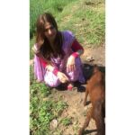 Zareen Khan Instagram - 💗 #AnimalLover #SaddaPind #Punjab #ZareenKhan