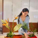 Zoya Afroz Instagram - Learning Sogetsu basic arrangements is fun. Ikebana the Japanese art of flower arrangement fills my heart with joy 🧡 🌼 This is Variation 5 slanting in Moribana and on the left is freestyle ikebana 🌸 Thank you to my teacher @renusaraf ma’am for introducing this art form to my life because this brings me so much joy I forget the world when I’m doing this. 🌼 Thank you @mumbaisogetsu for bringing such amazing workshops and teachers from The Sogetsu school to us! #ikebana #mumbaisogetsu #japan #sogetseschool #flowers #beauty