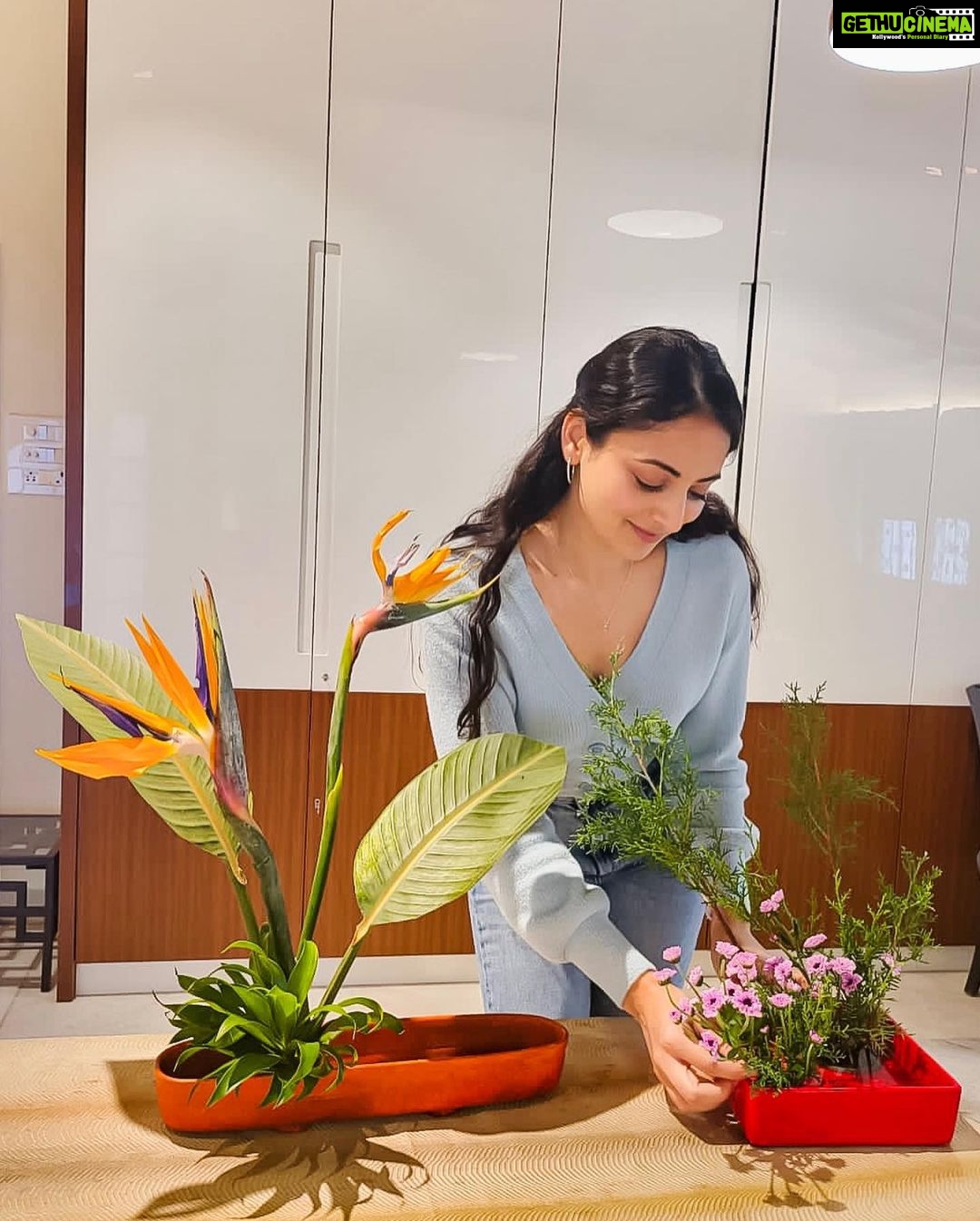 Zoya Afroz Instagram - Learning Sogetsu basic arrangements is fun. Ikebana the Japanese art of flower arrangement fills my heart with joy 🧡 🌼 This is Variation 5 slanting in Moribana and on the left is freestyle ikebana 🌸 Thank you to my teacher @renusaraf ma’am for introducing this art form to my life because this brings me so much joy I forget the world when I’m doing this. 🌼 Thank you @mumbaisogetsu for bringing such amazing workshops and teachers from The Sogetsu school to us! #ikebana #mumbaisogetsu #japan #sogetseschool #flowers #beauty