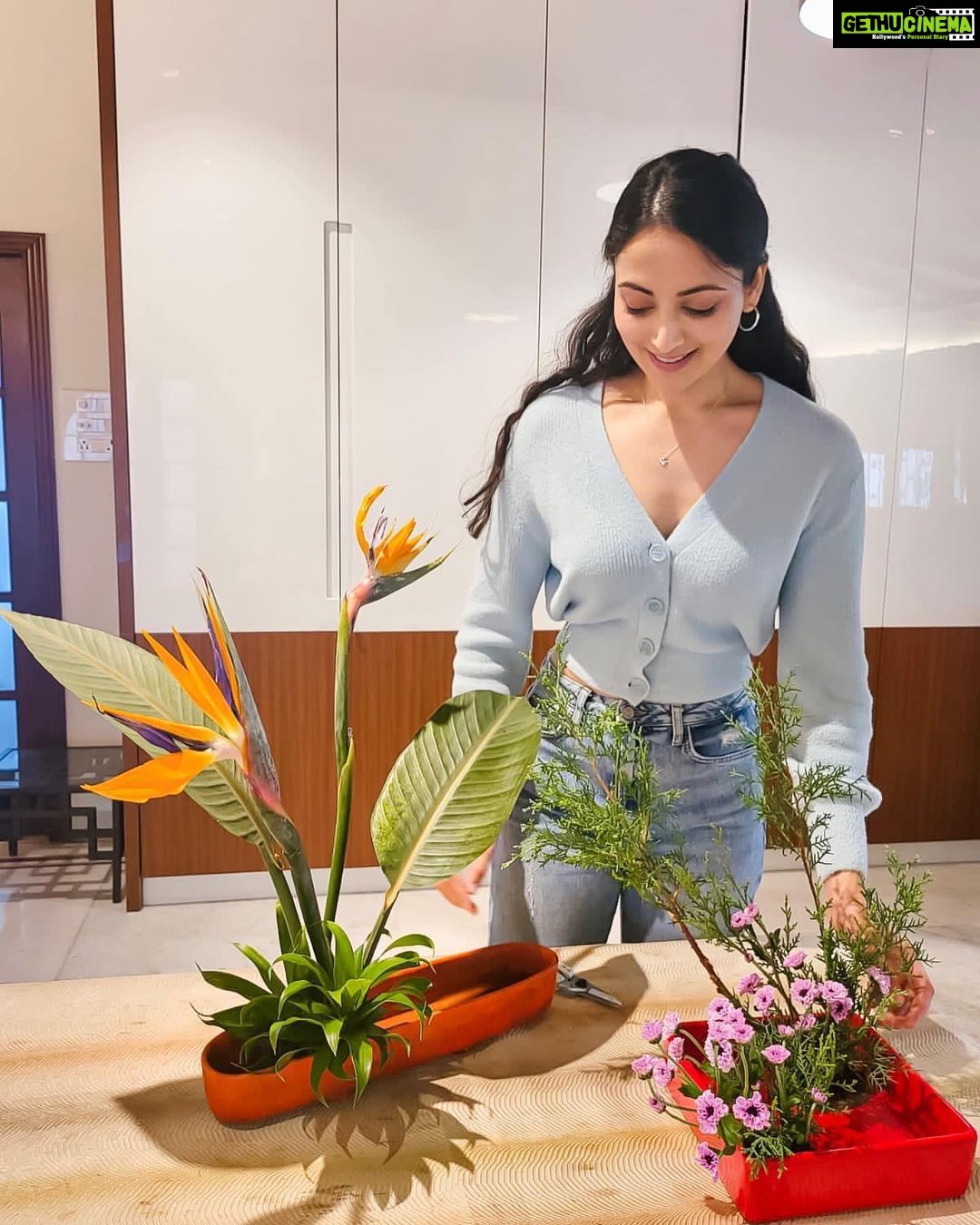 Zoya Afroz Instagram - Learning Sogetsu basic arrangements is fun. Ikebana the Japanese art of flower arrangement fills my heart with joy 🧡 🌼 This is Variation 5 slanting in Moribana and on the left is freestyle ikebana 🌸 Thank you to my teacher @renusaraf ma’am for introducing this art form to my life because this brings me so much joy I forget the world when I’m doing this. 🌼 Thank you @mumbaisogetsu for bringing such amazing workshops and teachers from The Sogetsu school to us! #ikebana #mumbaisogetsu #japan #sogetseschool #flowers #beauty