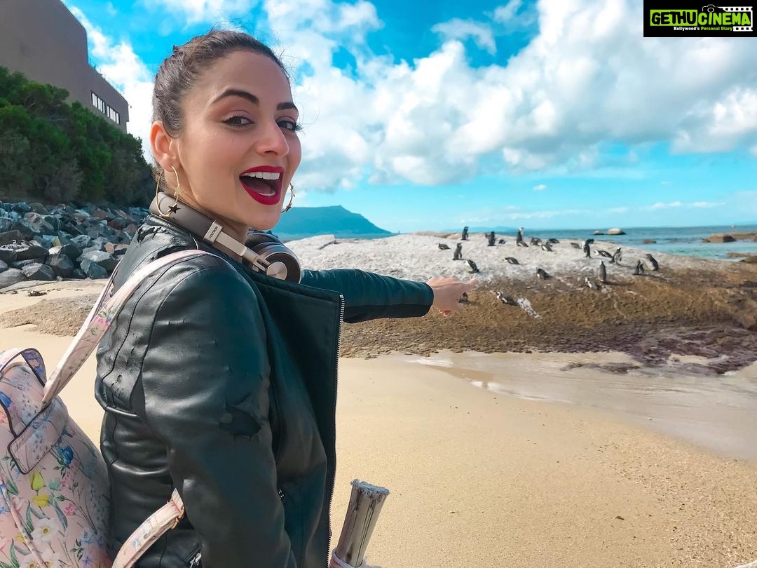 Zoya Afroz Instagram - Those are real penguins! 😱 Pingu pinguuu hahaha🐧🐧🐧 (don’t tell me you didn’t watch the gibberish penguin cartoon when you were young on pogo) #happyearthday🌎 #earthday2020 #nature #mothernature #beautiful