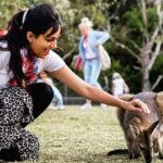 Harika Narayan Instagram - Kangaroo ♥️ #throwback . . . PC : @harshatejasundara Sydney, Australia