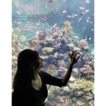 Harika Narayan Instagram – 💁 : Woah fishhh !!! Your world is so beautiful …I am kinda jealous 😍 .
. 🐟 : What the Human!!! Stop stalking and spoiling our world.  Go get yourself one. .
. 💁 : 🤐 🤷
.
.
Pc : @yash_1th_  putthar 🤪♥️