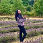 Haripriya Instagram - 💜💚☮️ . . . #londondiaries #lavendergarden #lavender #haripriyasinger #haripriya Lavender Gardens