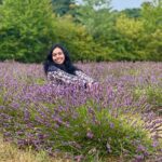 Haripriya Instagram - 💜💚☮️ . . . #londondiaries #lavendergarden #lavender #haripriyasinger #haripriya Lavender Gardens