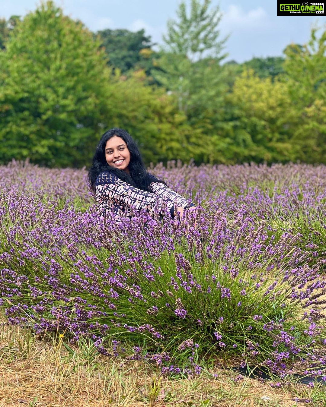 Haripriya Instagram - 💜💚☮️ . . . #londondiaries #lavendergarden #lavender #haripriyasinger #haripriya Lavender Gardens