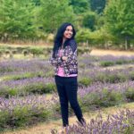 Haripriya Instagram - 💜💚☮️ . . . #londondiaries #lavendergarden #lavender #haripriyasinger #haripriya Lavender Gardens