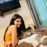 Pranali Rathod, pet animal, cat