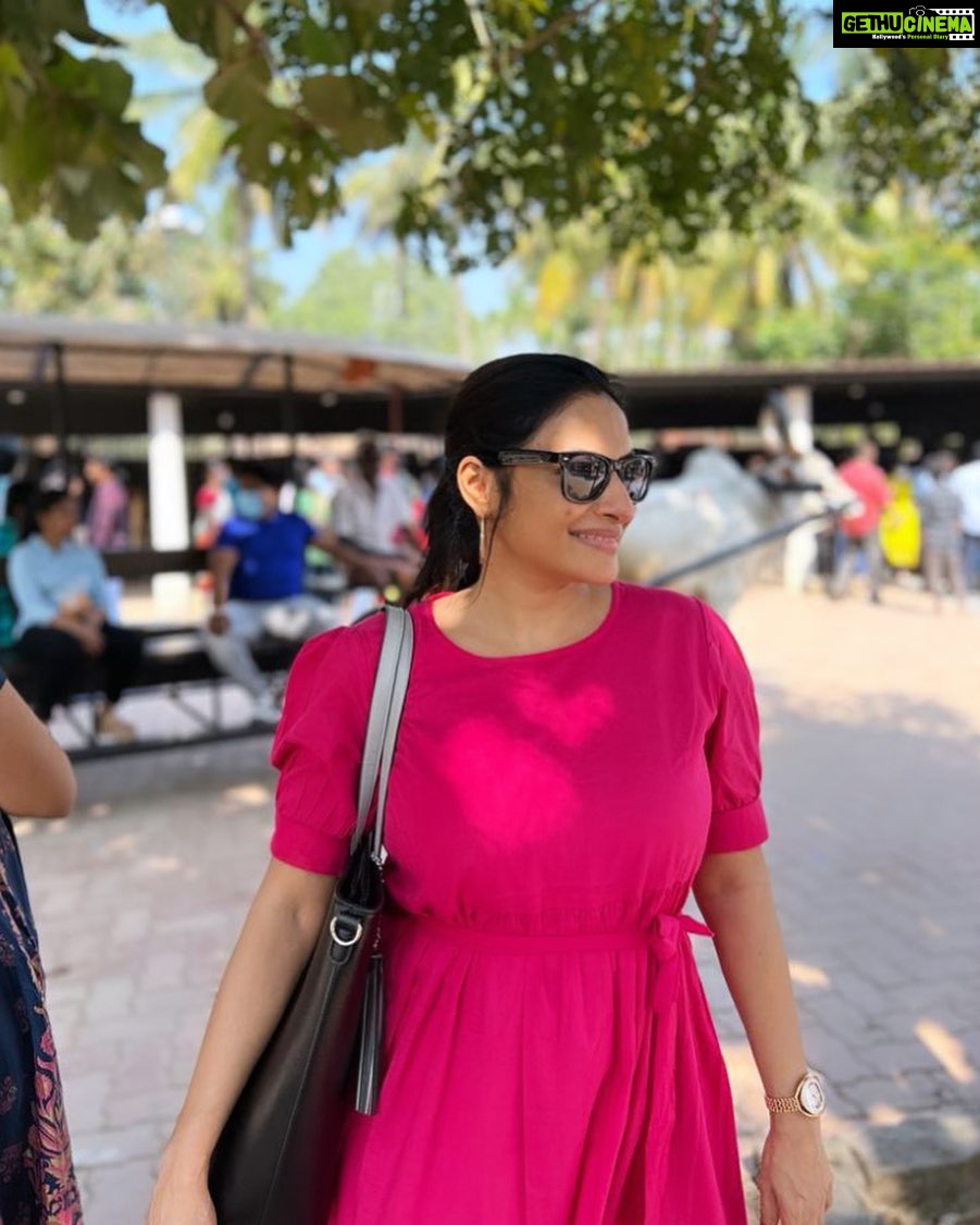 Rethika Srinivas Instagram - It’s a beautiful day to go after your dreams ✨ ——— #rethika #travel #trending #smile #nofilter #rethikasrinivas #rethikasjustmyway #instafamily #expression #positivevibes #chennai #moodygrams #justanotherdayinwa #skincare #messyhair #attitude #positivity #skin #exclusive #timeless #instagood #instafamous #actress #staysafe #staypositive #selflove #casual #pink