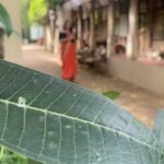 Rethika Srinivas Instagram - Behind the scenes ✨ Shot by @iamanaditya Beautiful location @indeco_swamimalai Location contact 094444 10395 ——— #staycation #newphotoshoot #trending #indecoswamimalai #viral #rethikasrinivas #serene #reels #expression #instareels #chennai #moodygrams #justanotherdayinwa #reelitfeelit #room #attitude #positivity #rethikasjustmywayfam #exclusive #timeless #instagood #instafamous #dance #actress #fun #staypositive #black #team #bright #architecture