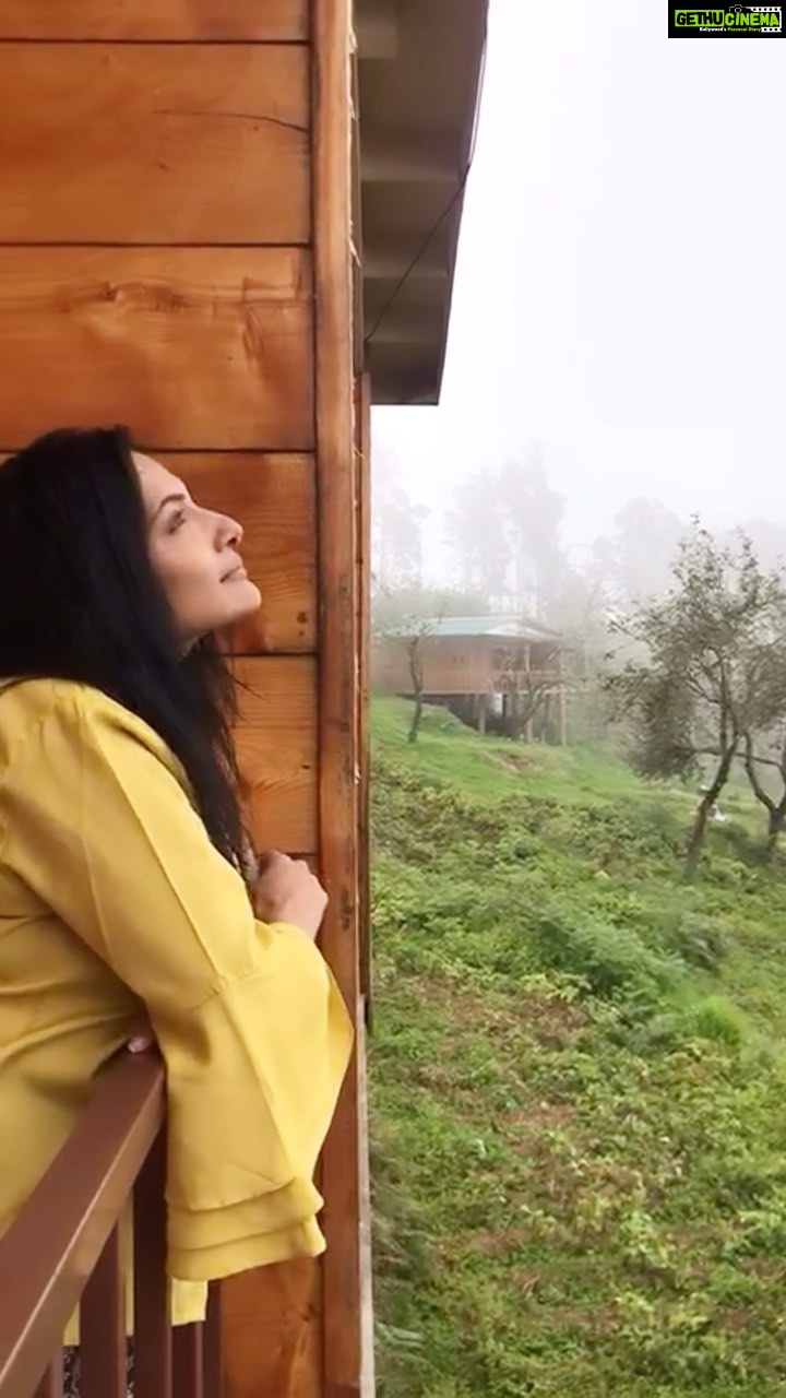 Rethika Srinivas Instagram - Stayy π Location @blueridgehomestay βββ #tamilsongs #travel #trending #hills #peace #rethikasrinivas #rethikasjustmyway #reels #expression #instareels #kodaikanal #nature #justanotherdayinwa #reelitfeelit #naturereels #happiness #positivity #rethikasjustmywayfam #exclusive #timeless #instagood #instafamous #weather #actress #cold #staypositive #flowers #travelreels #naturelovers #stay