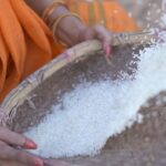 Rethika Srinivas Instagram – Remembering those good old traditional ways of husking rice. It reminds me of all the strong ladies I’ve seen growing. Just a window to my past and the values I carry forward with each tradition I still and will follow. 

#aadi auspicious month blessings 🌻✨ 

#recentphotoshoot 

Photo @nvn_photography446 
Styled by @styleupramyasekar @ramya_sekar_design_studio @velvetstories_ 
Hair and Make up @nirmala.jansi 
Location @casuarina_bay 

———
#simplicity #newphotoshoot #trending #closeup #arasipodaikrathu  #rethikasrinivas #rethikasjustmyway #instafamily #expression #positivevibes #chennai #oldisgold #turmeric #husking #traditionalvalues #positivity #greens #exclusive #timeless #instagood #instafamous #women #actress #yellow #festivewear #rice #aadimasam #traditional Casuarina Bay