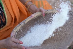 Rethika Srinivas Instagram - Remembering those good old traditional ways of husking rice. It reminds me of all the strong ladies I’ve seen growing. Just a window to my past and the values I carry forward with each tradition I still and will follow. 

#aadi auspicious month blessings 🌻✨ 

#recentphotoshoot 

Photo @nvn_photography446 
Styled by @styleupramyasekar @ramya_sekar_design_studio @velvetstories_ 
Hair and Make up @nirmala.jansi 
Location @casuarina_bay 

———
#simplicity #newphotoshoot #trending #closeup #arasipodaikrathu  #rethikasrinivas #rethikasjustmyway #instafamily #expression #positivevibes #chennai #oldisgold #turmeric #husking #traditionalvalues #positivity #greens #exclusive #timeless #instagood #instafamous #women #actress #yellow #festivewear #rice #aadimasam #traditional