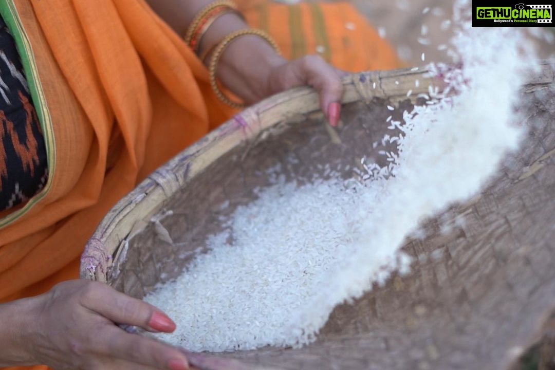 Rethika Srinivas - 3.9K Likes - Remembering those good old traditional ways of husking rice. It reminds me of all the strong ladies I’ve seen growing. Just a window to my past and the values I carry forward with each tradition I still and will follow.
#aadi auspicious month blessings 🌻✨
#recentphotoshoot
Photo @nvn_photography446
Styled by @styleupramyasekar @ramya_sekar_design_studio @velvetstories_
Hair and Make up @nirmala.jansi
Location @casuarina_bay
———
#simplicity #newphotoshoot #trending #closeup #arasipodaikrathu #rethikasrinivas #rethikasjustmyway #instafamily #expression #positivevibes #chennai #oldisgold #turmeric #husking #traditionalvalues #positivity #greens #exclusive #timeless #instagood #instafamous #women #actress #yellow #festivewear #rice #aadimasam #traditional