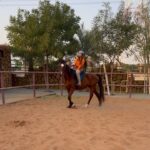 Aalisha Panwar Instagram - My spirit animal.. ., 🐎🧡
