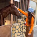 Aalisha Panwar Instagram - My spirit animal.. ., 🐎🧡