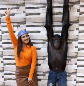 Aalisha Panwar Instagram - Hakuna Matata .. .., 🧡🥺🥰🐯

Disclaimer- These are rescued animals taken care of and very well fed by @uae_lionking they are not drugged or abused and their health care is also taken care of .. 

Thankyou @uae_lionking for letting me have this beautiful experience .. I love them ..