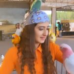 Aalisha Panwar Instagram - Hakuna Matata .. .., 🧡🥺🥰🐯 Disclaimer- These are rescued animals taken care of and very well fed by @uae_lionking they are not drugged or abused and their health care is also taken care of .. Thankyou @uae_lionking for letting me have this beautiful experience .. I love them ..
