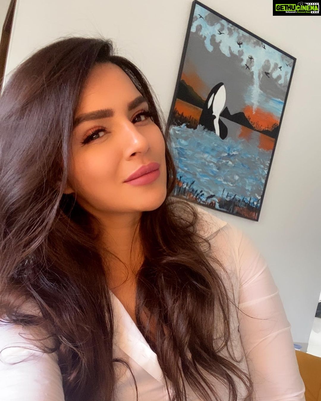Aashka Goradia Instagram - "I will tell you how to become rich. Close the doors. Be fearful when others are greedy. Be greedy when others are fearful." — Warren Buffett . . . #truthbomb #equity #investments