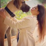 Aashka Goradia Instagram - P A B L O ❤️ Talk - Listen - Hug . . . . . . #dogsofinstagram Ahmedabad, India