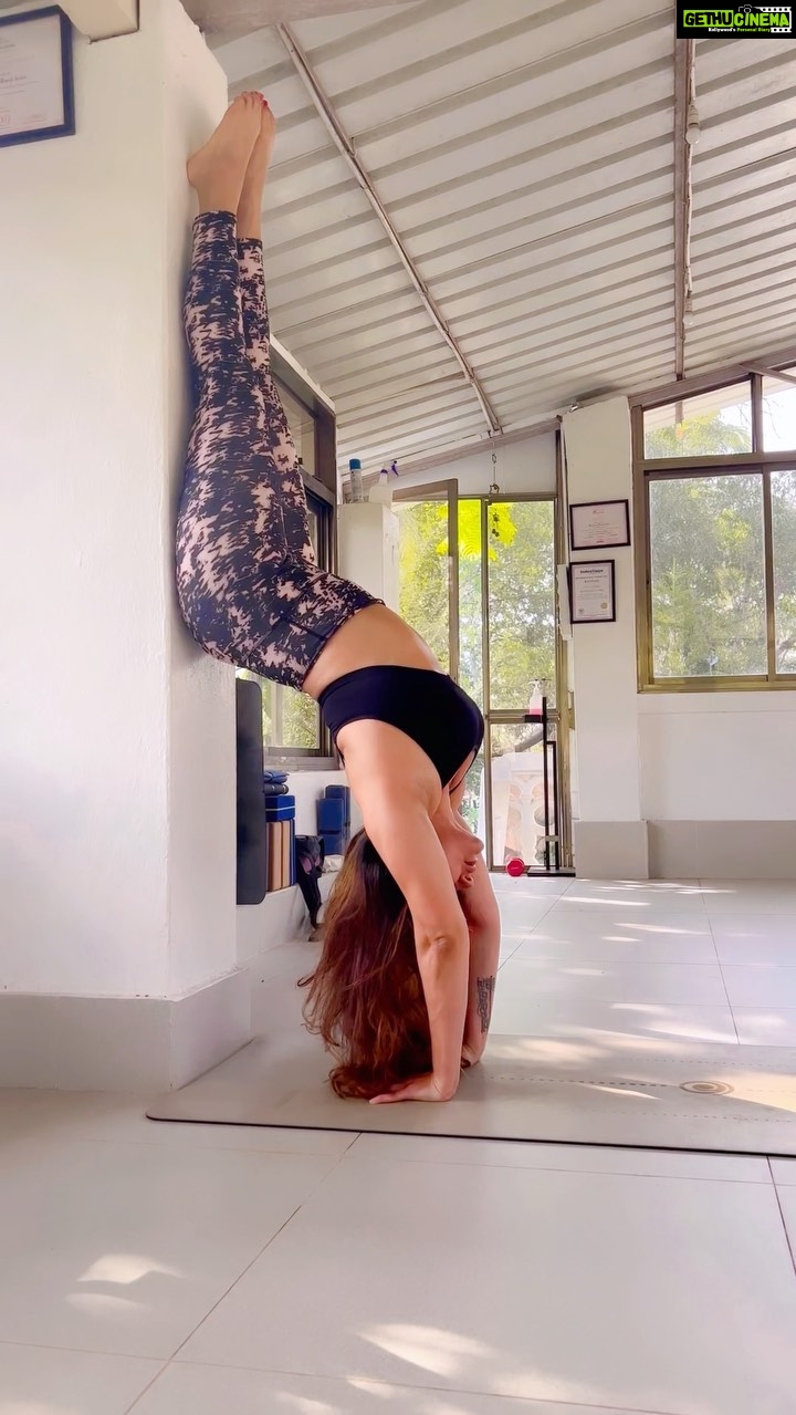 Aashka Goradia Instagram - #HollowBack #Handstand #Inversions