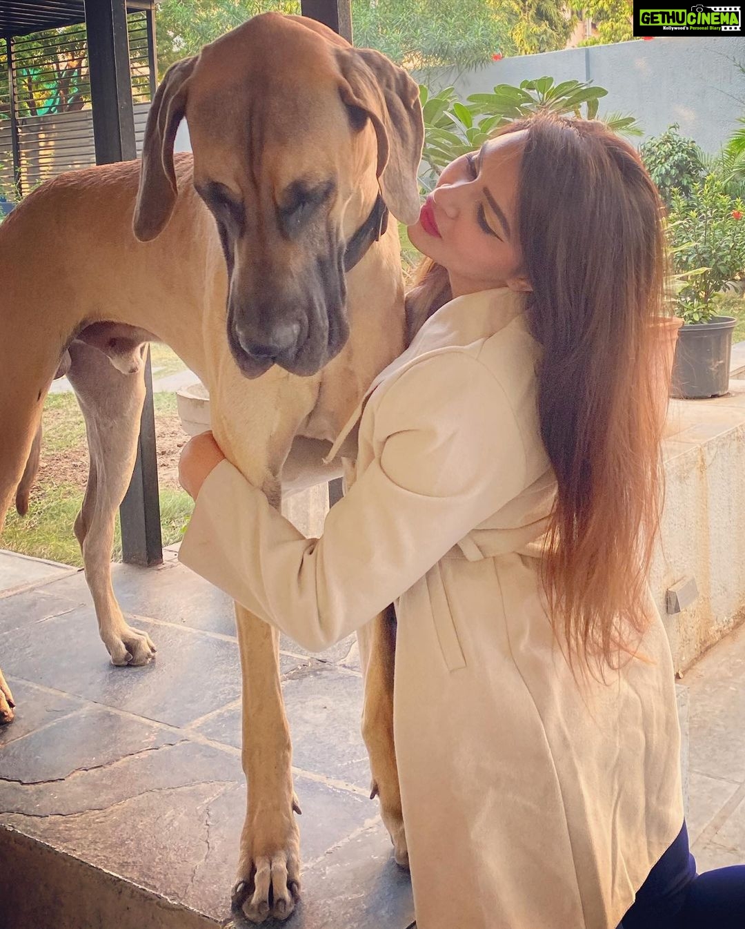 Aashka Goradia Instagram - P A B L O ❤️ Talk - Listen - Hug . . . . . . #dogsofinstagram Ahmedabad, India