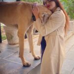 Aashka Goradia Instagram - P A B L O ❤️ Talk - Listen - Hug . . . . . . #dogsofinstagram Ahmedabad, India