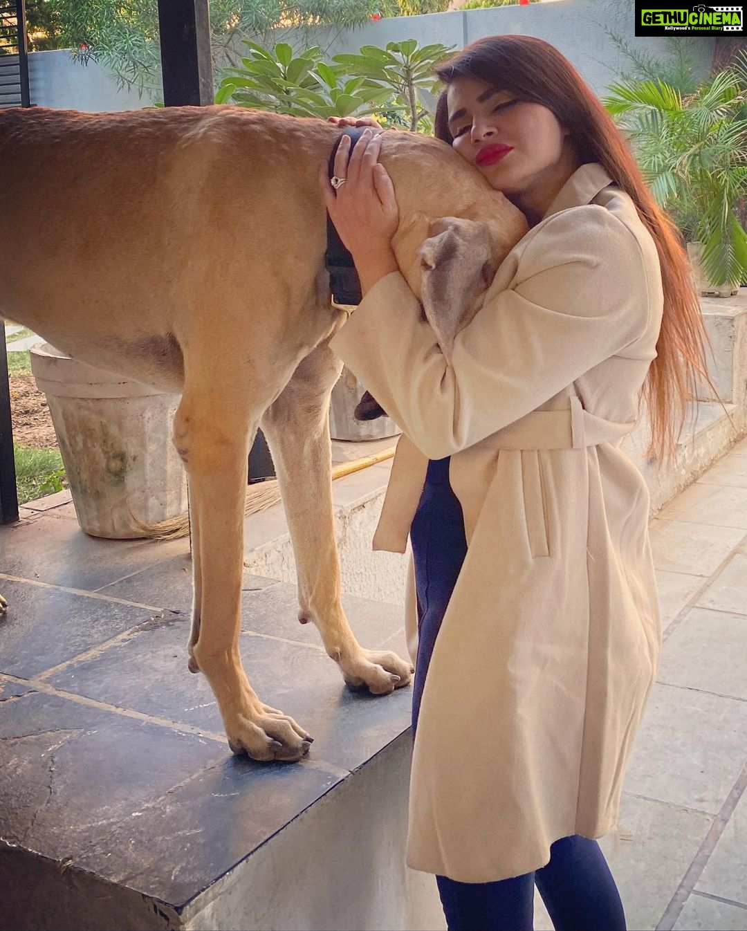 Aashka Goradia Instagram - P A B L O ❤️ Talk - Listen - Hug . . . . . . #dogsofinstagram Ahmedabad, India